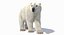 Ours polaire (animé)