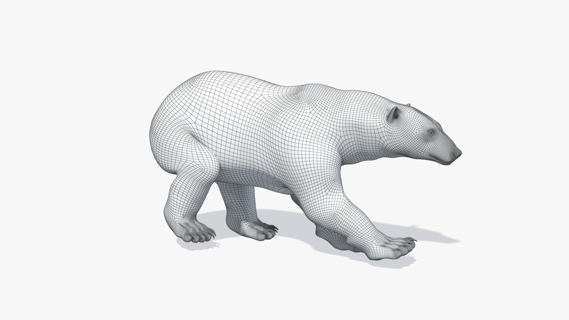 polar bear animation model https://p.turbosquid.com/ts-thumb/zm/nRhFAV/ms4sq6x1/lrun_/jpg/1538262294/1920x1080/turn_fit_q99/b1965e374230e7ebccef5cbc4df7b7f2326c0df3/lrun_-1.jpg