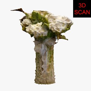 3D model scan flower