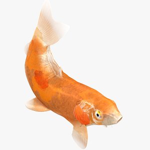 Japanese Carp Fish Rigged L1708 3D model