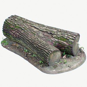 wooden log 3D model
