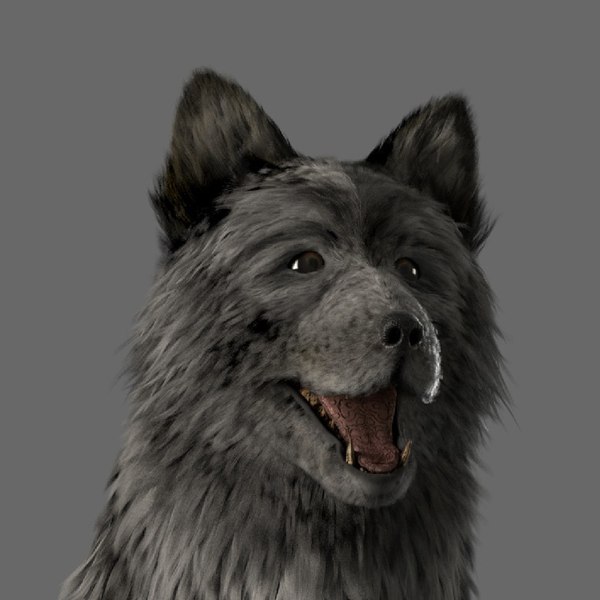 毛皮のオオカミ犬3dモデル Turbosquid