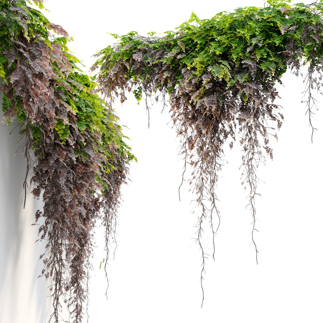 Hanging Plant 39 3D https://p.turbosquid.com/ts-thumb/zn/9S3WFB/Eh/preview6qftjk/jpg/1678948470/1920x1080/fit_q87/af5e484c5f611eb5e77127a9a38cfb9b627b387f/preview6qftjk.jpg
