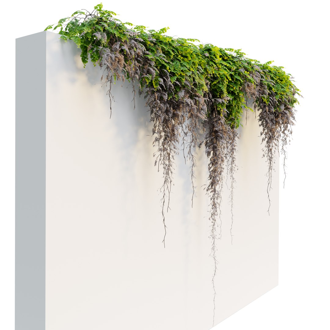 Hanging Plant 39 3D https://p.turbosquid.com/ts-thumb/zn/9S3WFB/lF/preview4qftjk/jpg/1678948469/1920x1080/fit_q87/bcc1c04c90f438aff50894c31316296b97879a0c/preview4qftjk.jpg