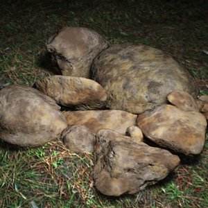 3d model natural rocks