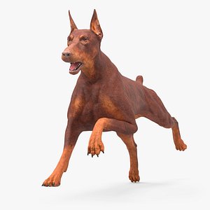 Doberman Dog Brown Running 3D
