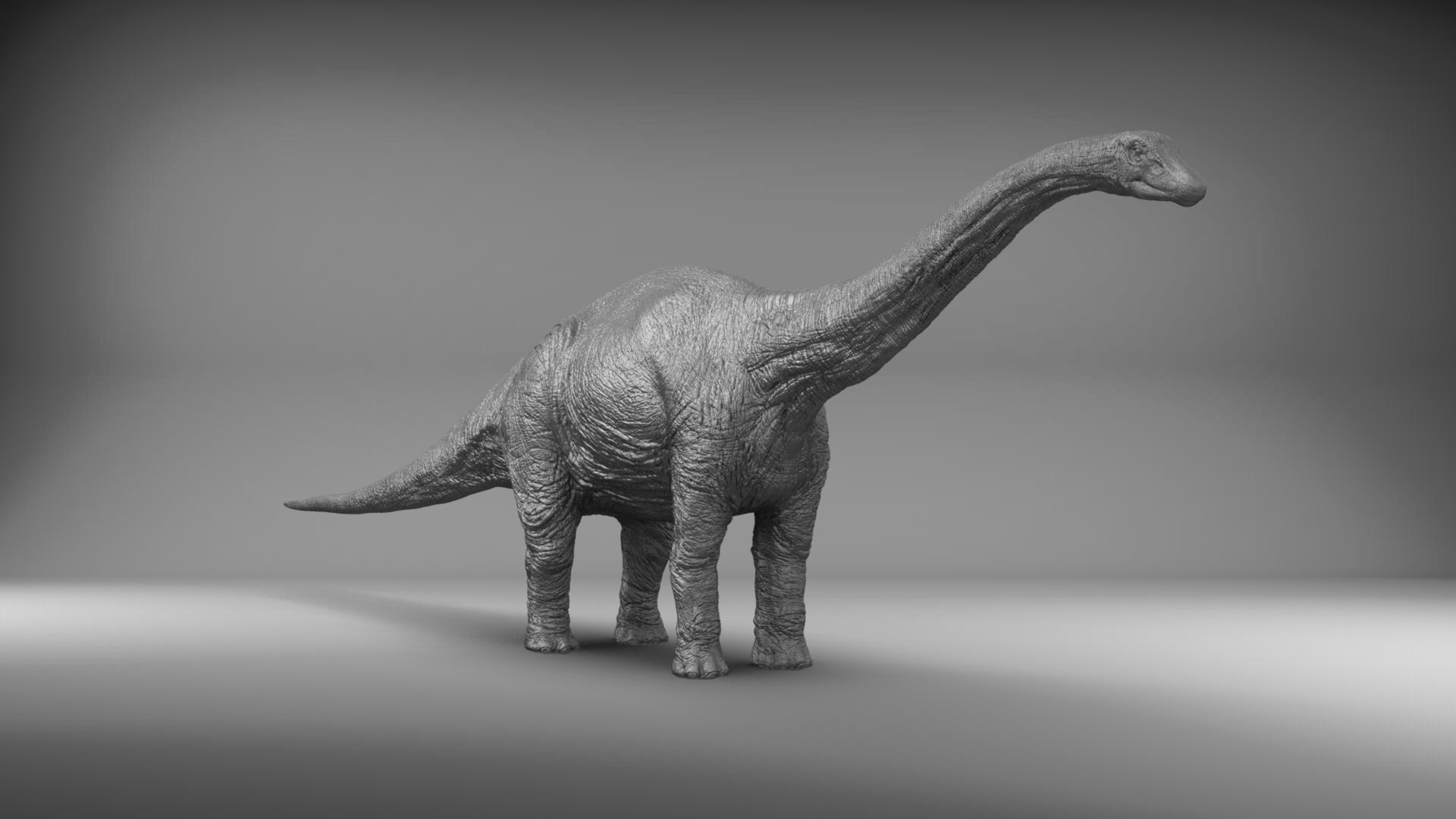 3D Diplodocus - TurboSquid 1294905