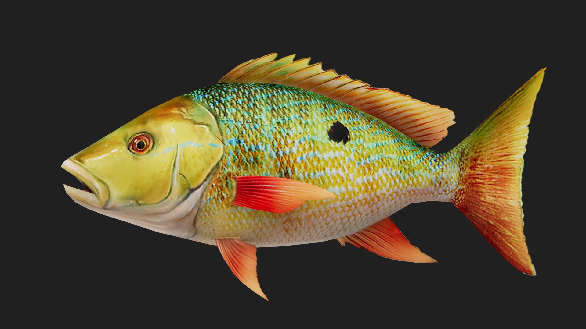 3D Snapper - TurboSquid 2119721