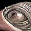 Snapper-TS