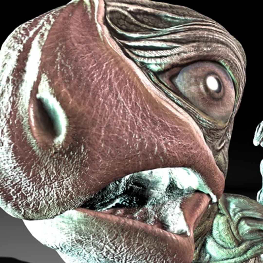 snapper 4 0 3d model https://p.turbosquid.com/ts-thumb/zn/NvEhMk/aKd9UlHt/snapper02d/jpg/1282204177/1920x1080/fit_q87/35ec487c267f0aef571a359e4568dad72869ea22/snapper02d.jpg