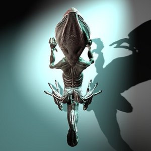 snapper 4 0 3d model