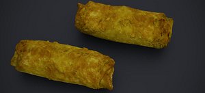 CHICKEN EGG ROLLS 2024