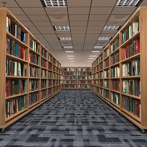 Large School Library model