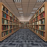 Large School Library