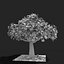 Árbol de manzana