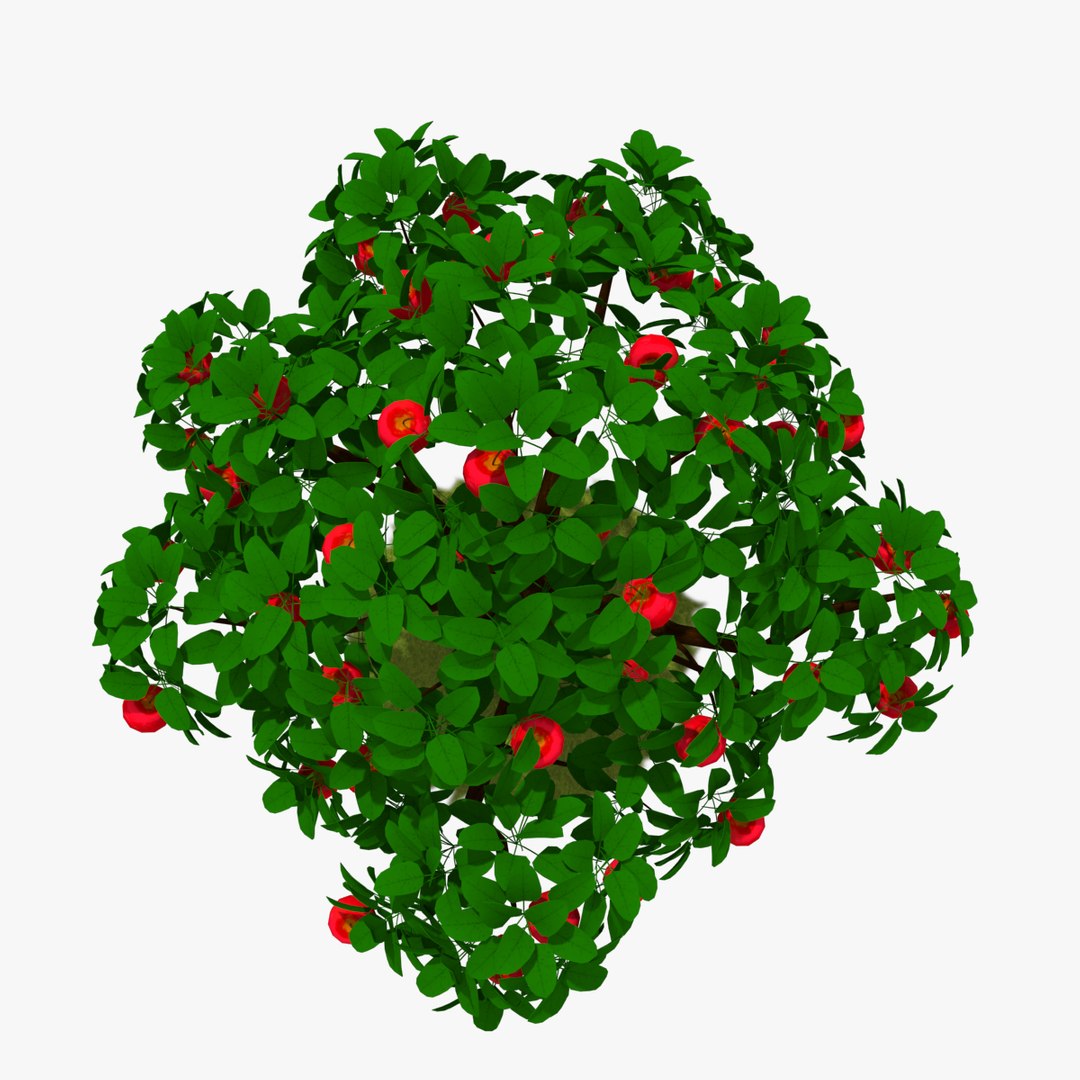 3d tree apple model https://p.turbosquid.com/ts-thumb/zn/kwjto1/2C3vGttg/thumb05/jpg/1477942440/1920x1080/fit_q87/67201ea2123c6f9b1dde35df87e81be48568da1c/thumb05.jpg