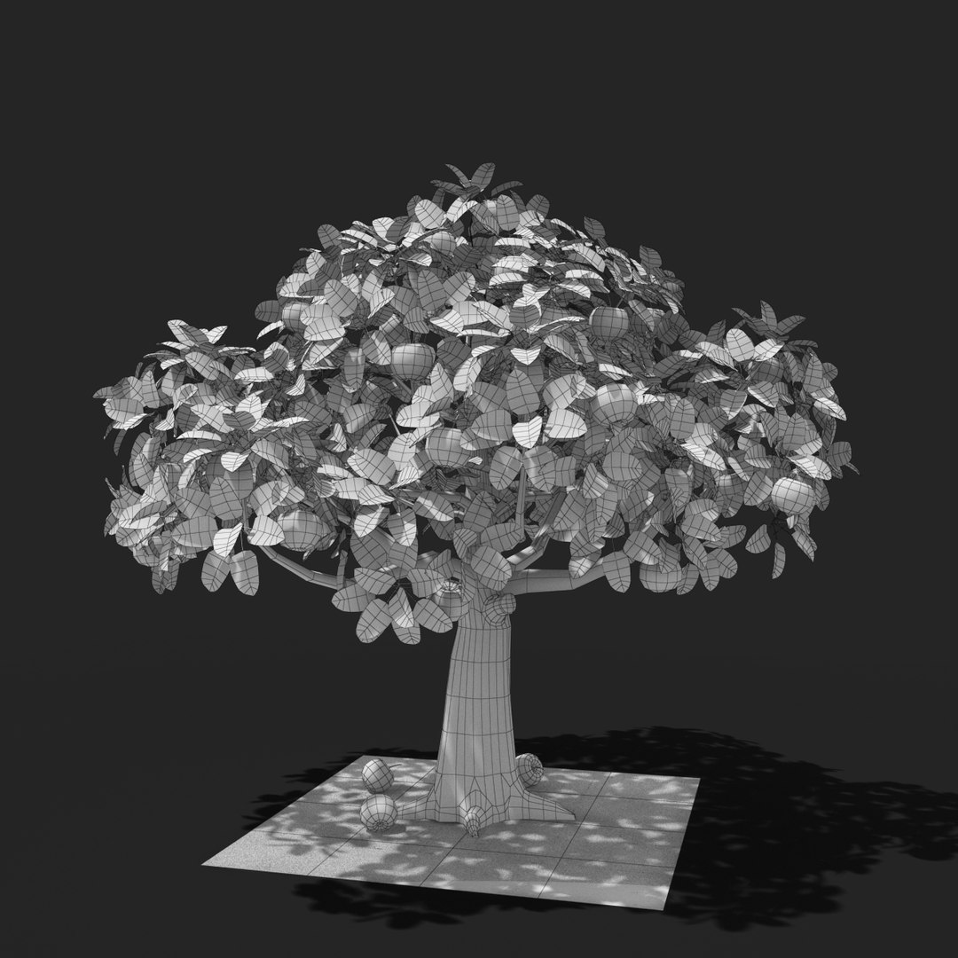 3d tree apple model https://p.turbosquid.com/ts-thumb/zn/kwjto1/3tGEPyo4/thumb12/jpg/1477942440/1920x1080/fit_q87/57ac9024204192cfc166af2541a0f22665f71757/thumb12.jpg