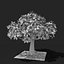 Árbol de manzana