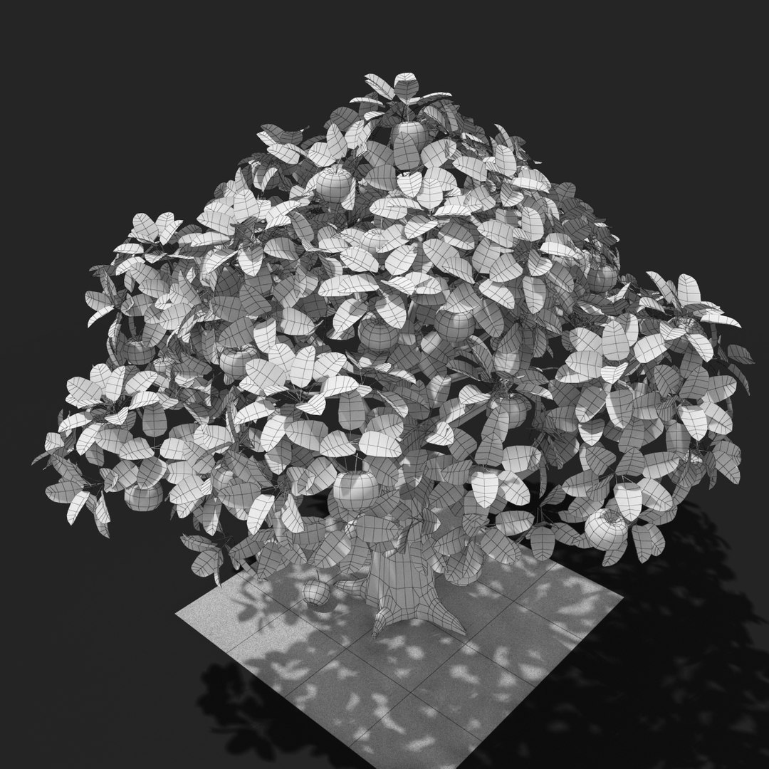 3d tree apple model https://p.turbosquid.com/ts-thumb/zn/kwjto1/54BIEQLh/thumb16/jpg/1477942441/1920x1080/fit_q87/700011a98e8a3b1e890f22fa09d50f1b2ea22a5b/thumb16.jpg