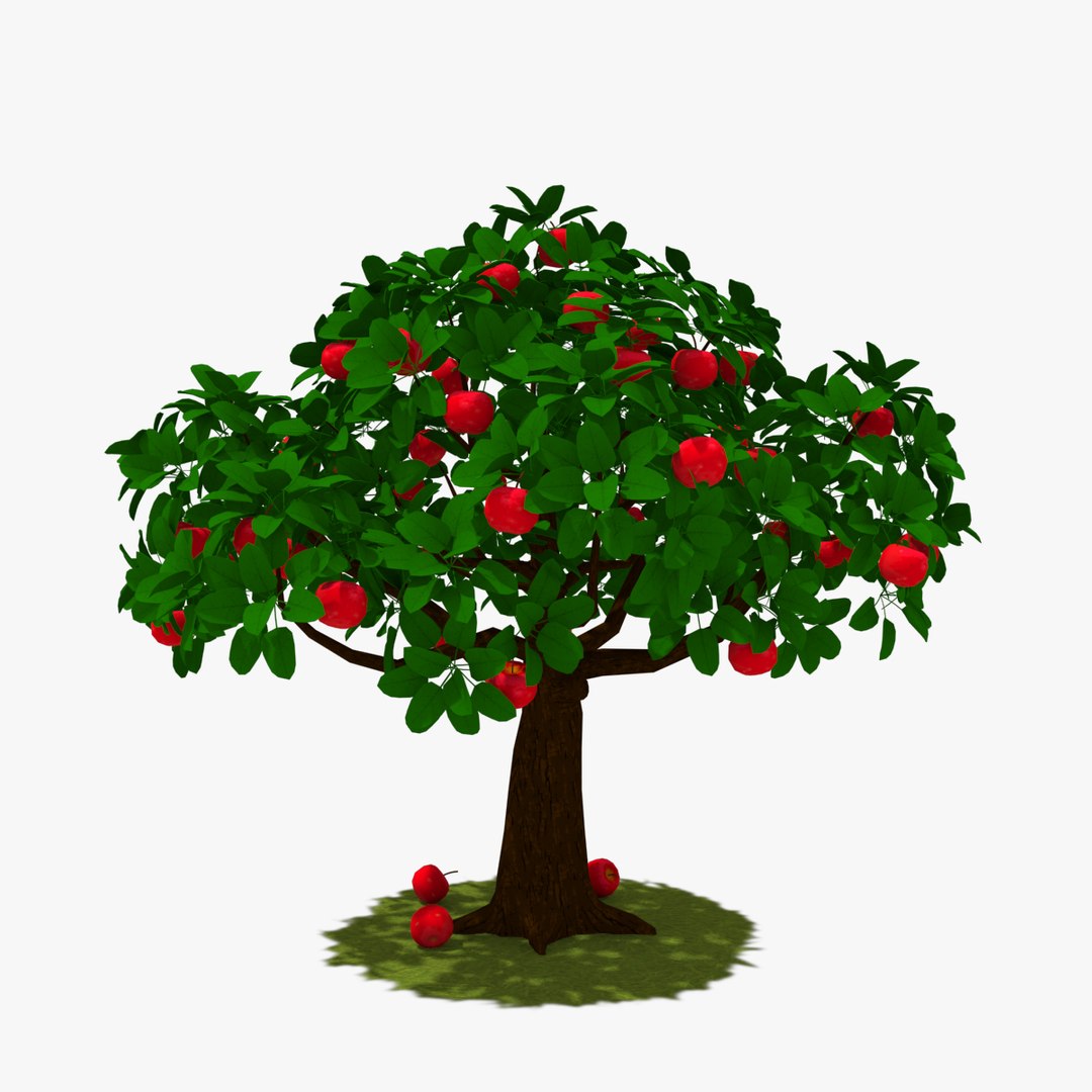 3d tree apple model https://p.turbosquid.com/ts-thumb/zn/kwjto1/60L3yh6z/thumb03/jpg/1477942440/1920x1080/fit_q87/7753347e3f97dee9db90f532e69ab959d18022ea/thumb03.jpg
