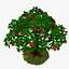 Árbol de manzana