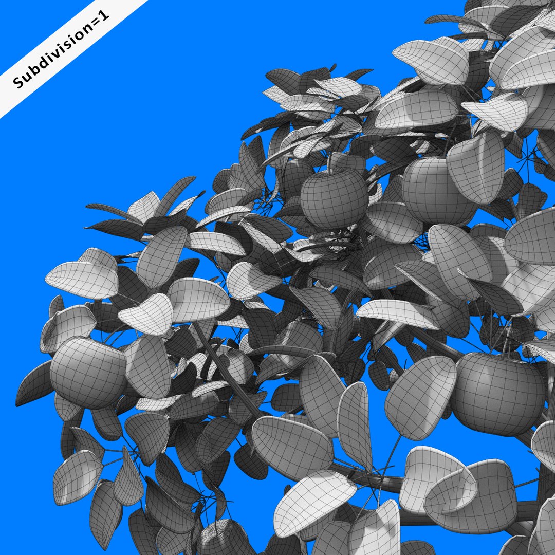 3d tree apple model https://p.turbosquid.com/ts-thumb/zn/kwjto1/keyQqvRO/thumb18/jpg/1477942441/1920x1080/fit_q87/e90fee1fac2699d40ab7ef0254454fe2707d0f7d/thumb18.jpg