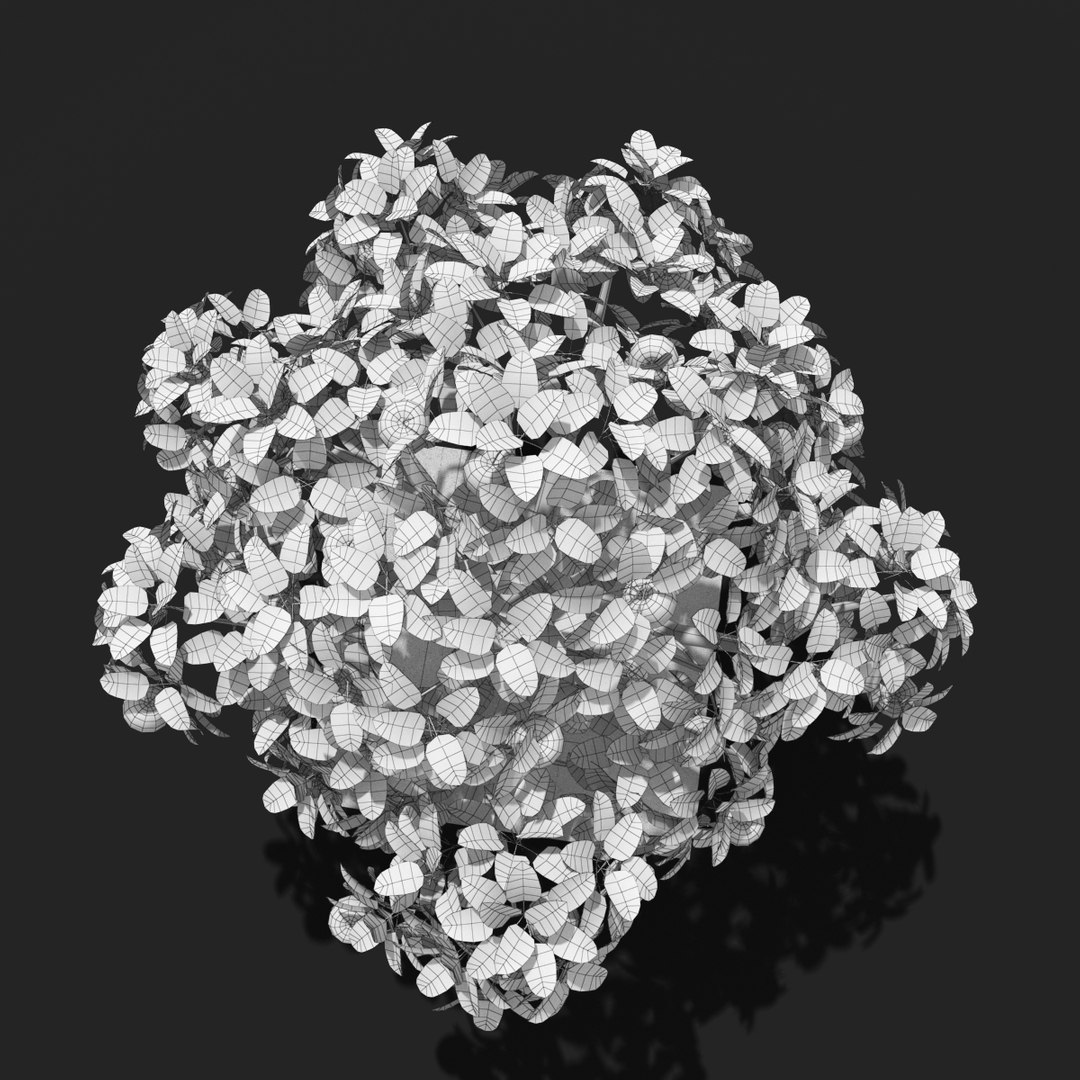 3d tree apple model https://p.turbosquid.com/ts-thumb/zn/kwjto1/uvXUzhEi/thumb15/jpg/1477942441/1920x1080/fit_q87/d9400c56dd189ed359239cb21350f605422b425f/thumb15.jpg