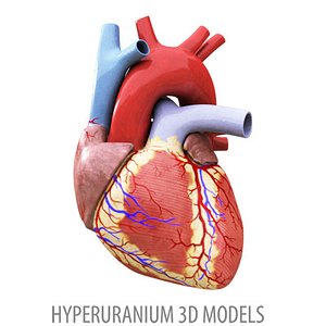 HEART V2