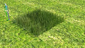 Grass model