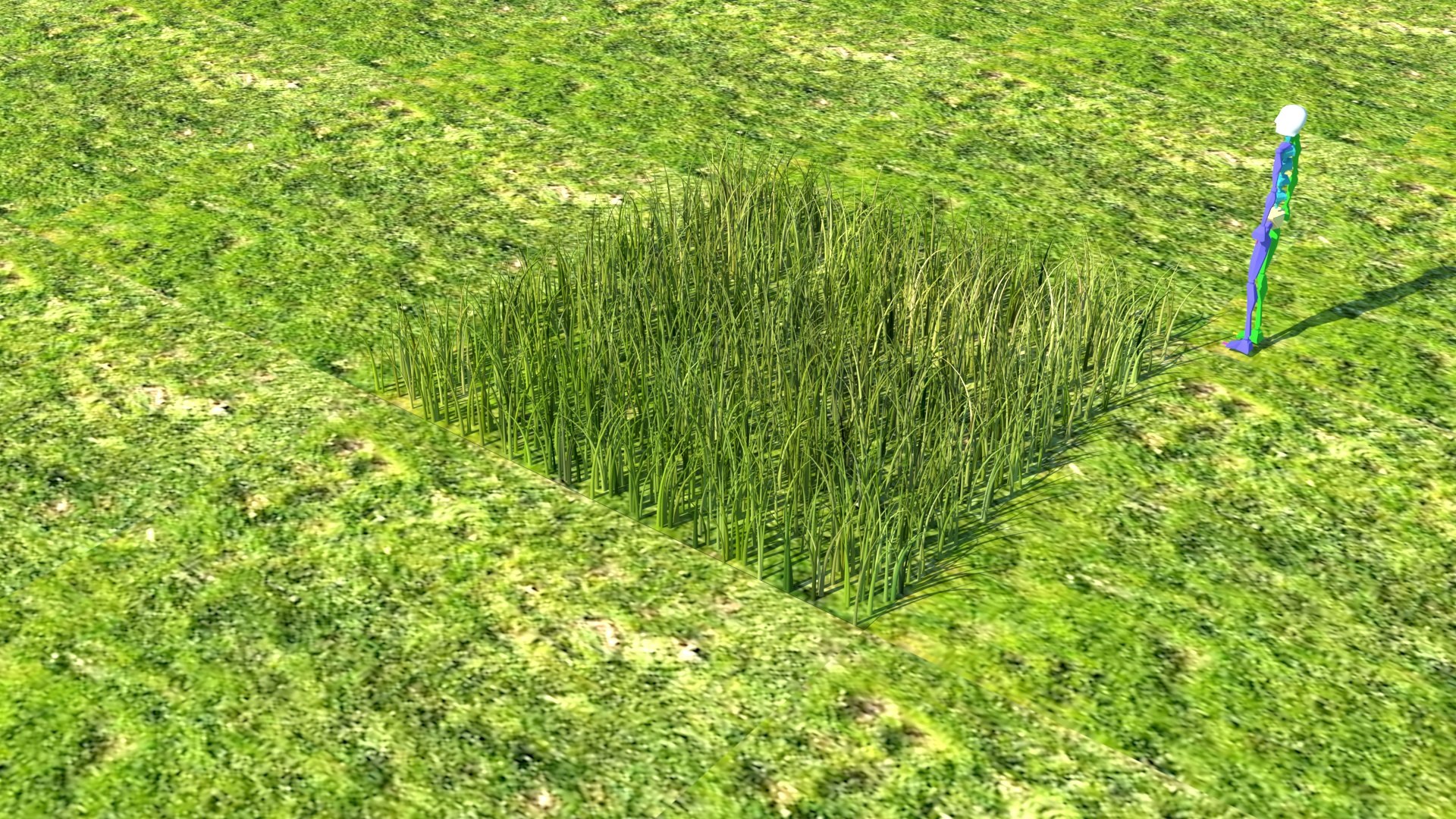 Grass Model - TurboSquid 1802362