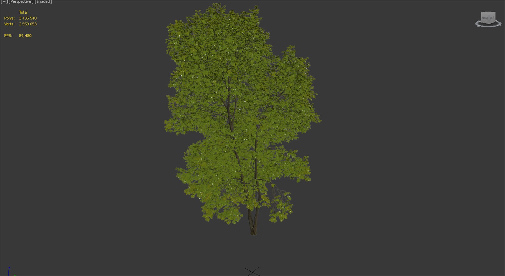 3D Tree Ash-tree - TurboSquid 1688579