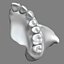 Maxila com dentes