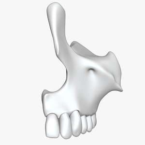 Maxilla with Teeth