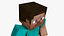 Steve Minecraft - Mixamo Animatable - Use your own Skin