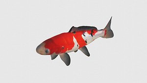 Low Poly Koi Fish Rigged With Realistic Texture 3D model