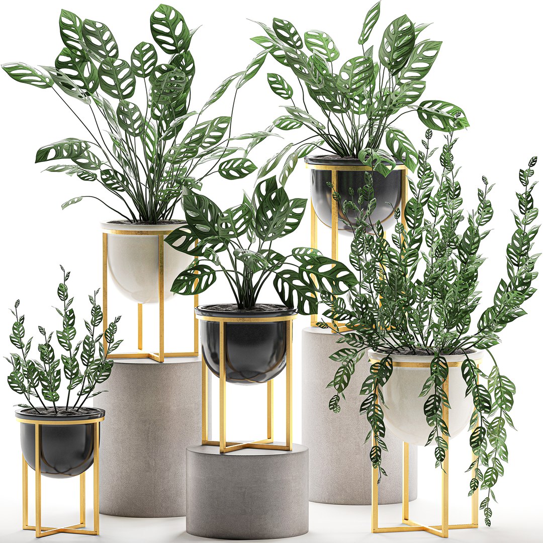 Ornamental plants pots interior 3D model - TurboSquid 1562567