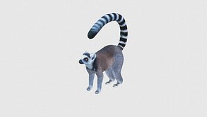 3D model Low Poly Lemur Rigged With Realistic Texture