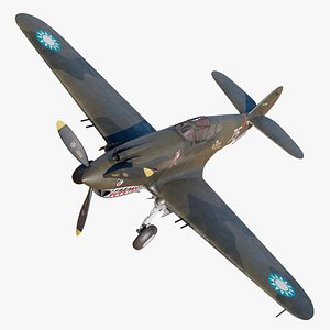 Rigged P-40 USA Fighter WW2 PBR