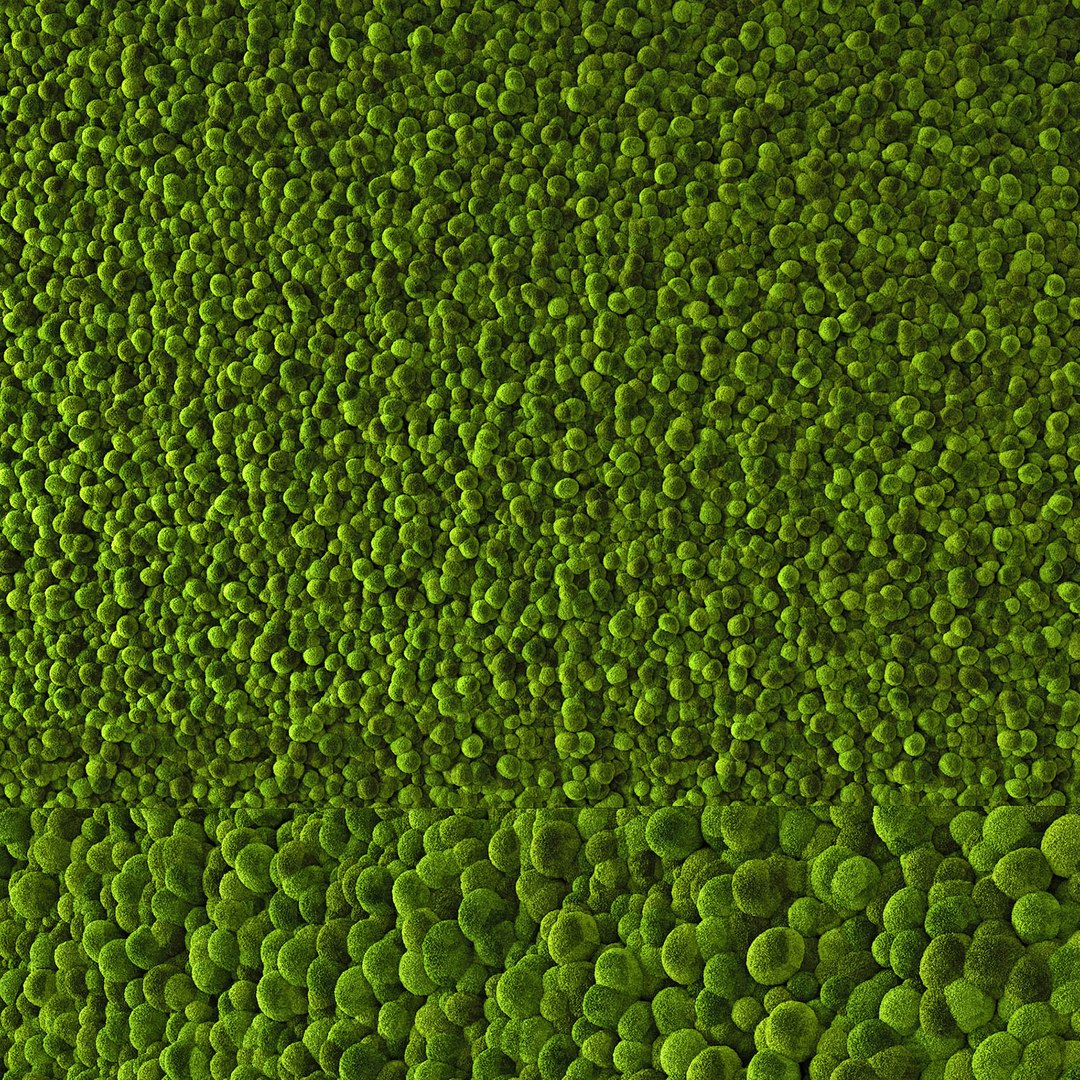 Moss 3D - TurboSquid 1497721