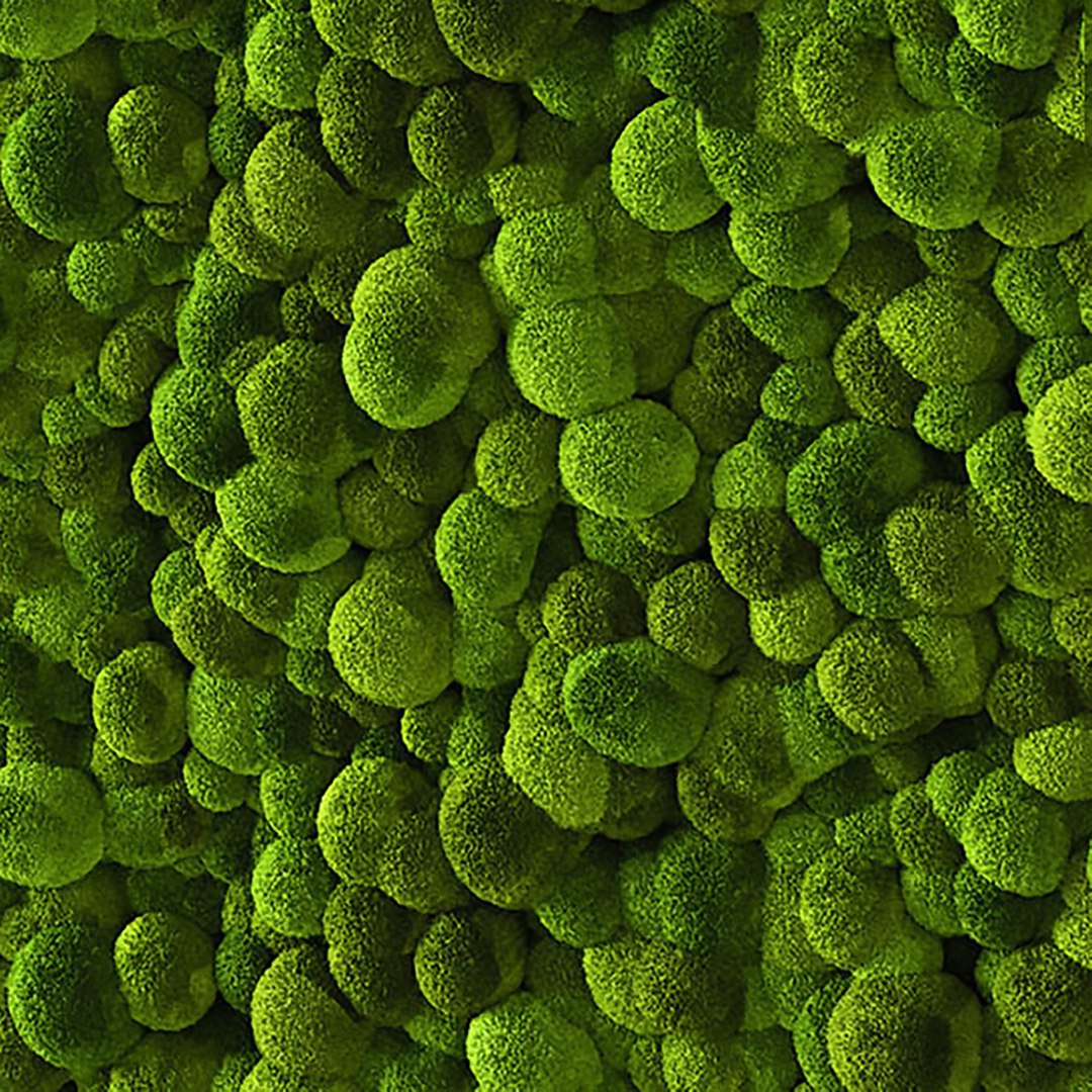 Moss 3D - TurboSquid 1497721