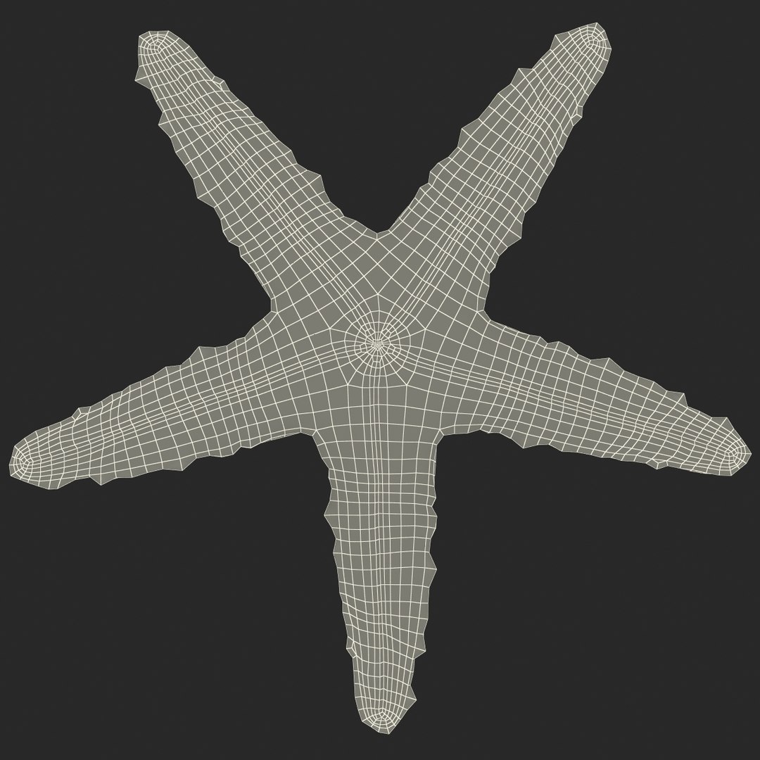 sea star 3d max https://p.turbosquid.com/ts-thumb/zo/qvccYm/1dnQGHMd/seastar_15/jpg/1395278417/1920x1080/fit_q87/8cd5c52acc41a4811541f88549b12287be668a4b/seastar_15.jpg