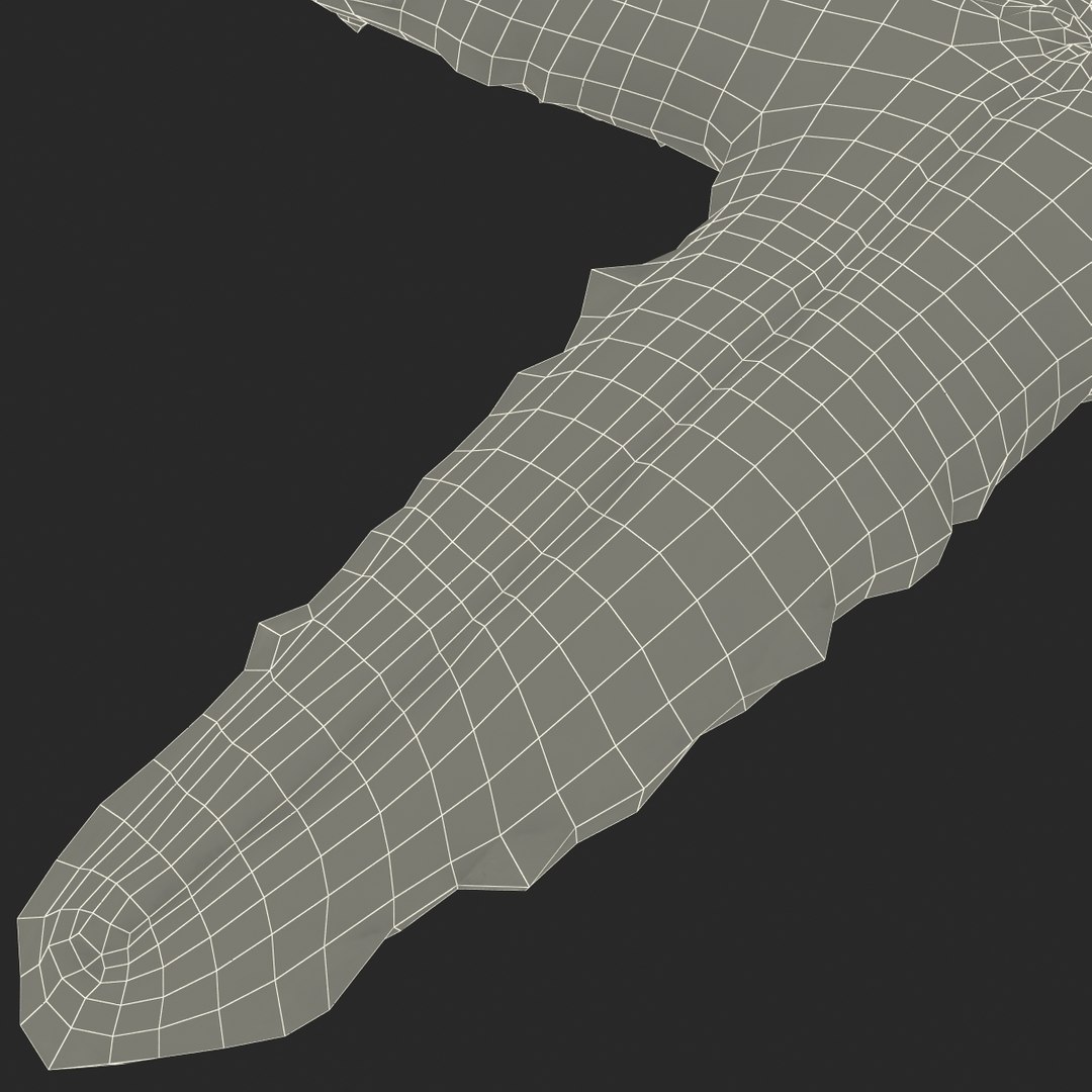 sea star 3d max https://p.turbosquid.com/ts-thumb/zo/qvccYm/XBkA5BwY/seastar_20/jpg/1395278448/1920x1080/fit_q87/45b377be4ea4d41f35737b2c28bf1ef83fb6d6a1/seastar_20.jpg