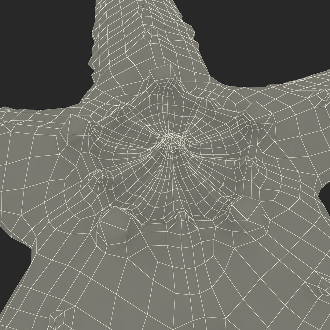 sea star 3d max https://p.turbosquid.com/ts-thumb/zo/qvccYm/tfiyFKza/seastar_16/jpg/1395278423/1920x1080/fit_q87/15e3041fb7621e0be2ee6c95c6b14c923a20bb04/seastar_16.jpg