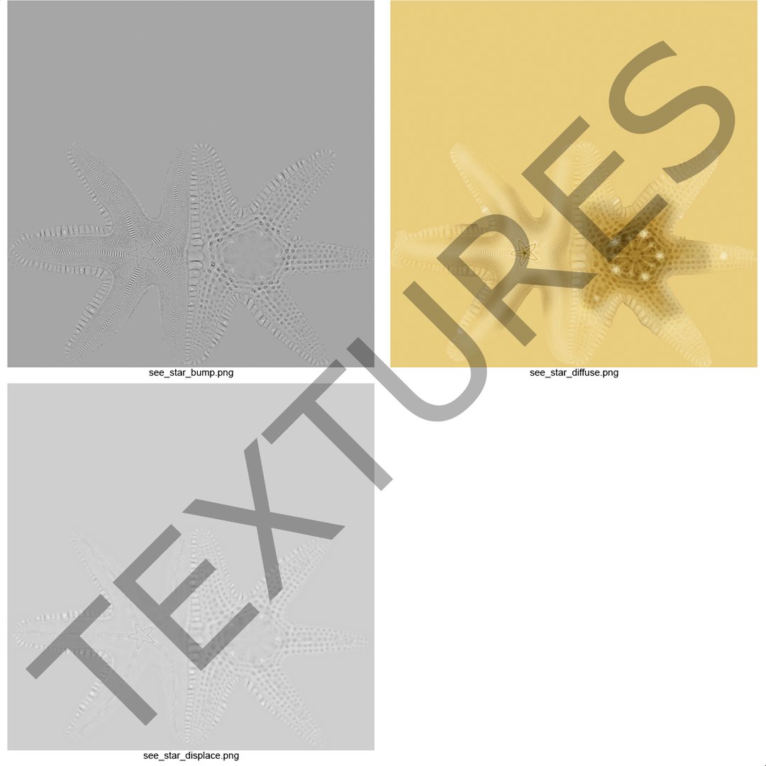sea star 3d max https://p.turbosquid.com/ts-thumb/zo/qvccYm/weKWZKCG/seastar_4/jpg/1395278334/1920x1080/fit_q87/f87c0a9d2bdc4ab01215e810cfe9ca1f0948d0e6/seastar_4.jpg