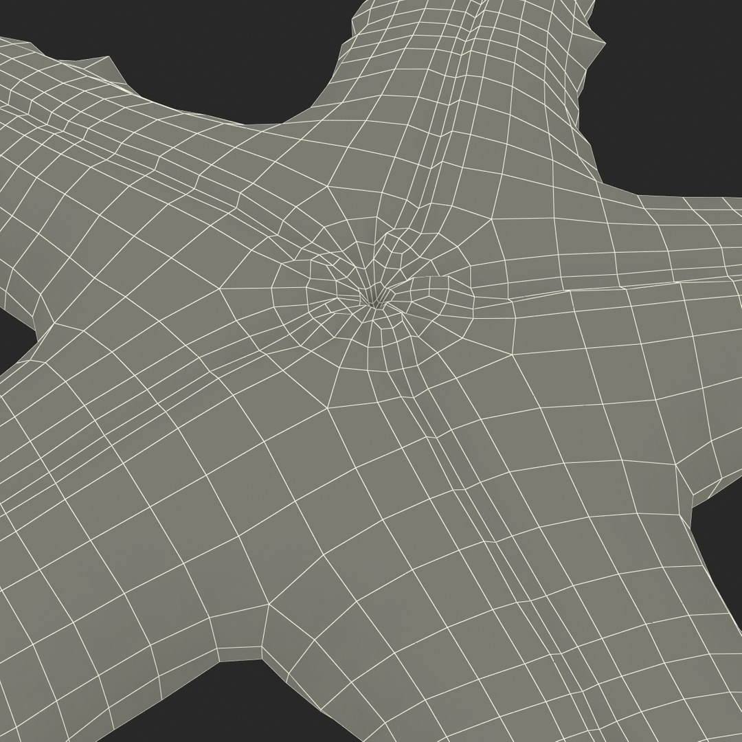 sea star 3d max https://p.turbosquid.com/ts-thumb/zo/qvccYm/x3jpE1s0/seastar_19/jpg/1395278441/1920x1080/fit_q87/5b2ce51eedf1bfdebe61411fba8d859fc0a8deed/seastar_19.jpg