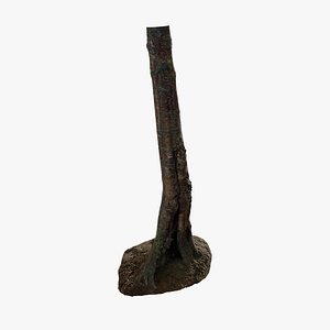 Anydrafts Betula albosinensis Trunk 07 3d model