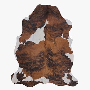 3D model Cowhide
