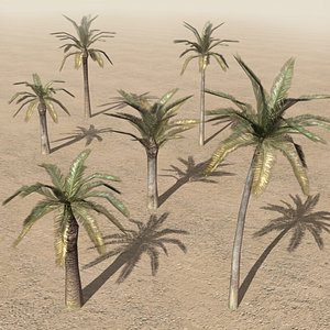 arab city palm elements 3d 3ds