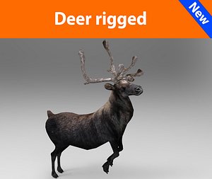 deer rigged 3ds