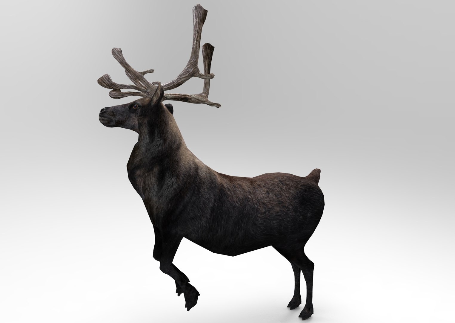 Deer Rigged 3ds